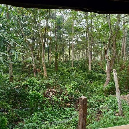 Siddhartha Wildlife Retreat Hotel Meghauli Exterior foto