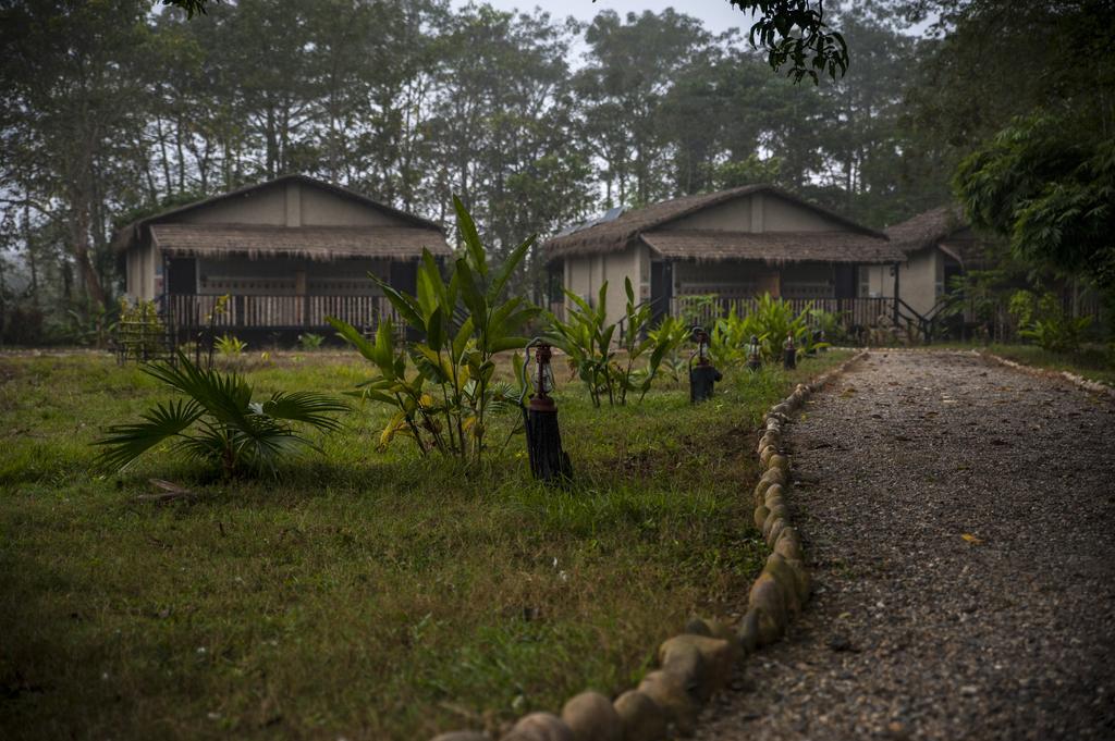 Siddhartha Wildlife Retreat Hotel Meghauli Exterior foto