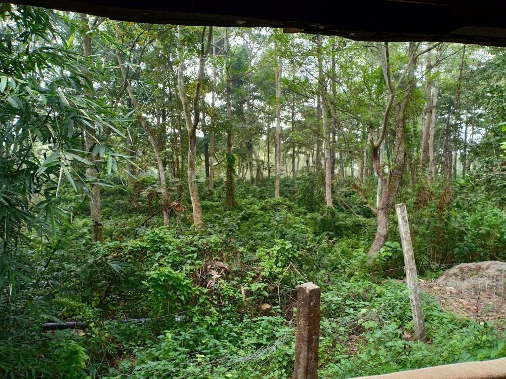 Siddhartha Wildlife Retreat Hotel Meghauli Exterior foto